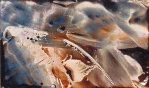 Bourgait2013_ArtUniVers-Univers