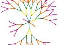 Biocentrism, the third representation of the&nbsp;world