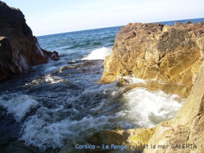 Les lois de la&nbsp;nature