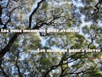 La loi du&nbsp;changement